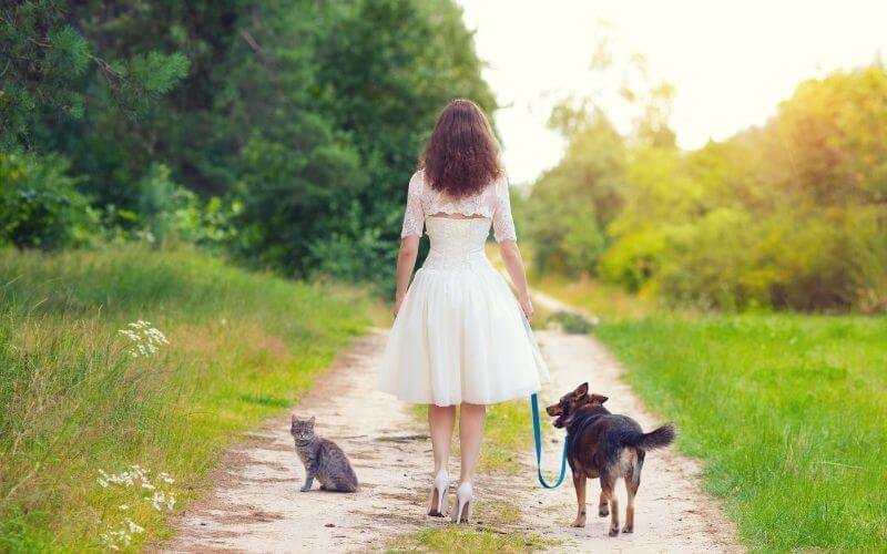 Kissa ja koira saman katon alla – onnistuuko yhteiselo?