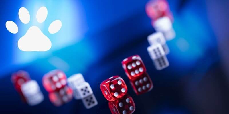 Miksi lemmikkieläin-teemaiset kasinopelit voivat olla seuraava trendi
