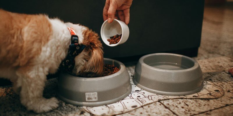 Miksi valita kotimainen koiranruoka?