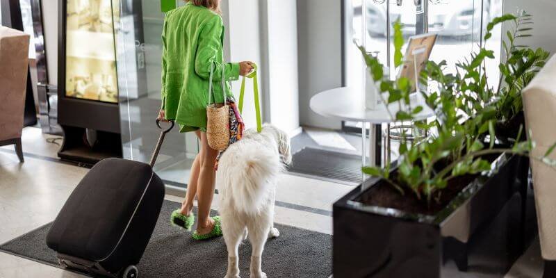 Parhaat lemmikkieläinten hoitopaikat ja hotellit – Minne mennä ja mitä ottaa mukaan